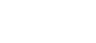 the forest
