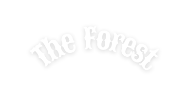 The Forest